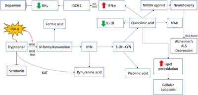 Interferon therapy and its association with depressive disorders – A review